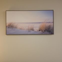 Nice Nice Looking For The Livingroom 