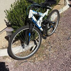 Adult Bike