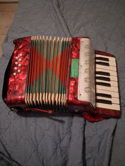 Acordion para niño