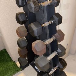 Dumbbells With A Rack 👍🏼