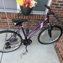 RoadMaster Bike