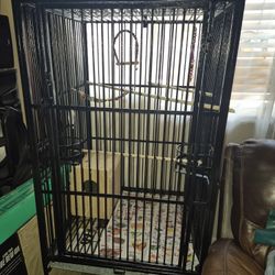 Parrot Cage