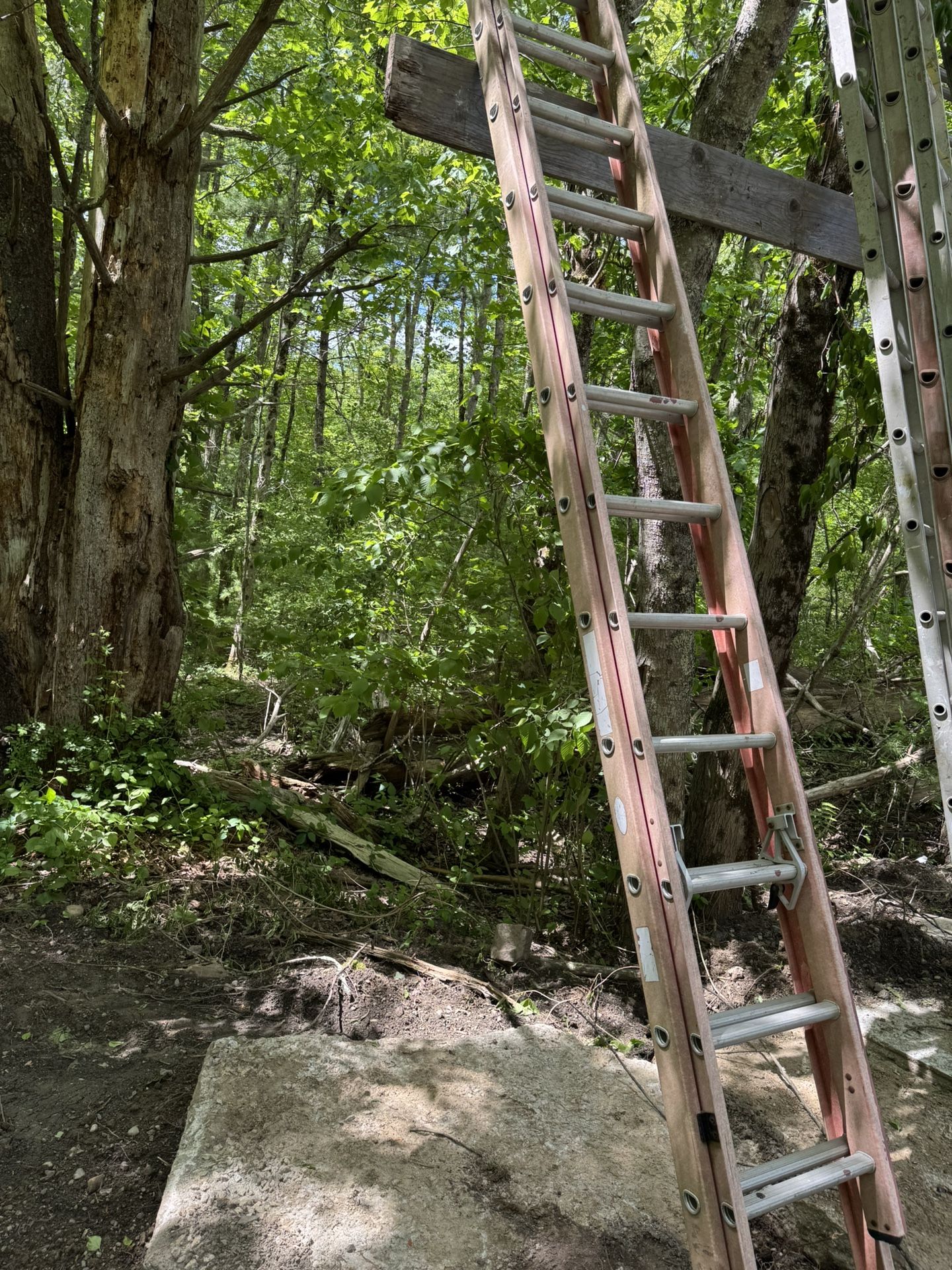 extension Ladder - Fiberglass
