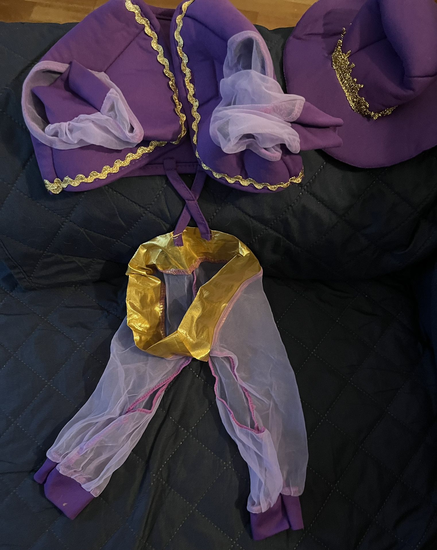 Halloween Costume For Small Dog