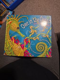 Over The Ocean In Coral Reef