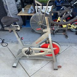 Sunny Indoor Exercise Bike