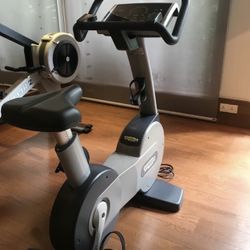 Technogym Uptight Bike 