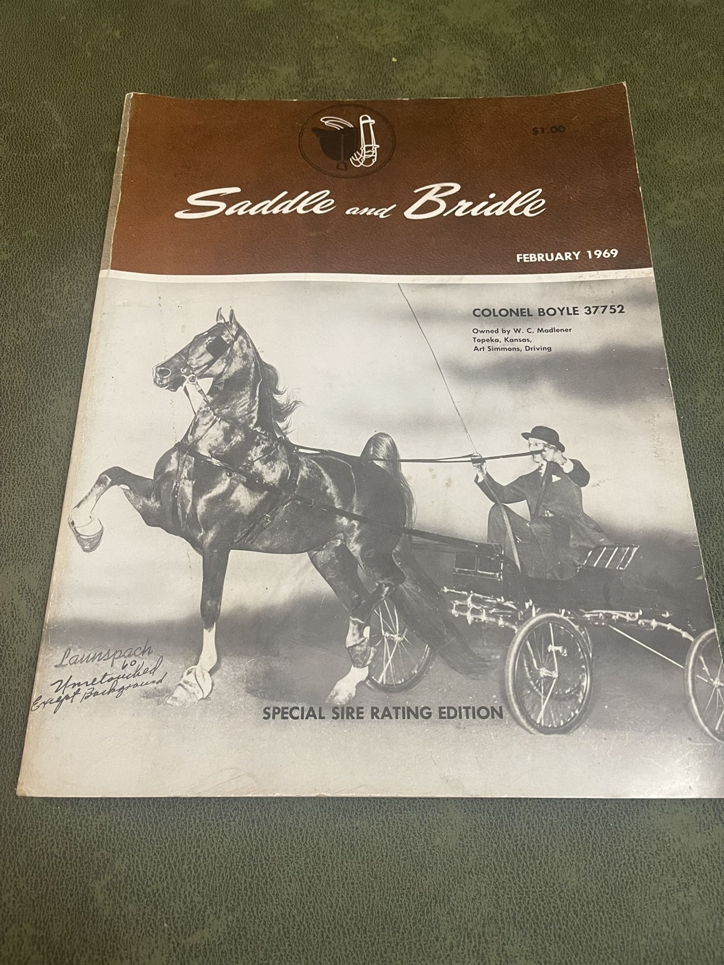 Saddlebred, Tennessee Walking Horse Magazine "Saddle & Bridle" Feb. 1969!!!