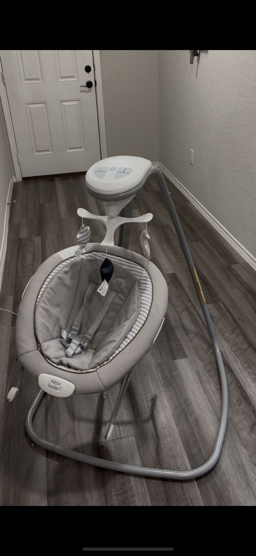 Graco Baby Swing and Bouncer