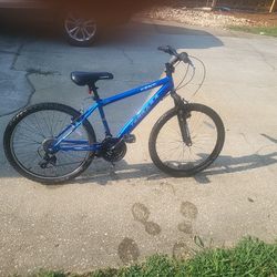 24" Terra Kent