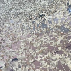 DESERT CAMO NETTING