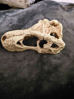 Bearded Dragon decor