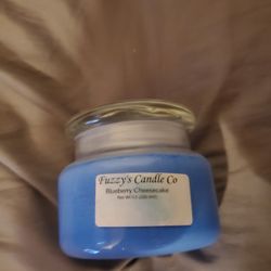 Blueberry Cheese Cake  9.5oz. Candle 