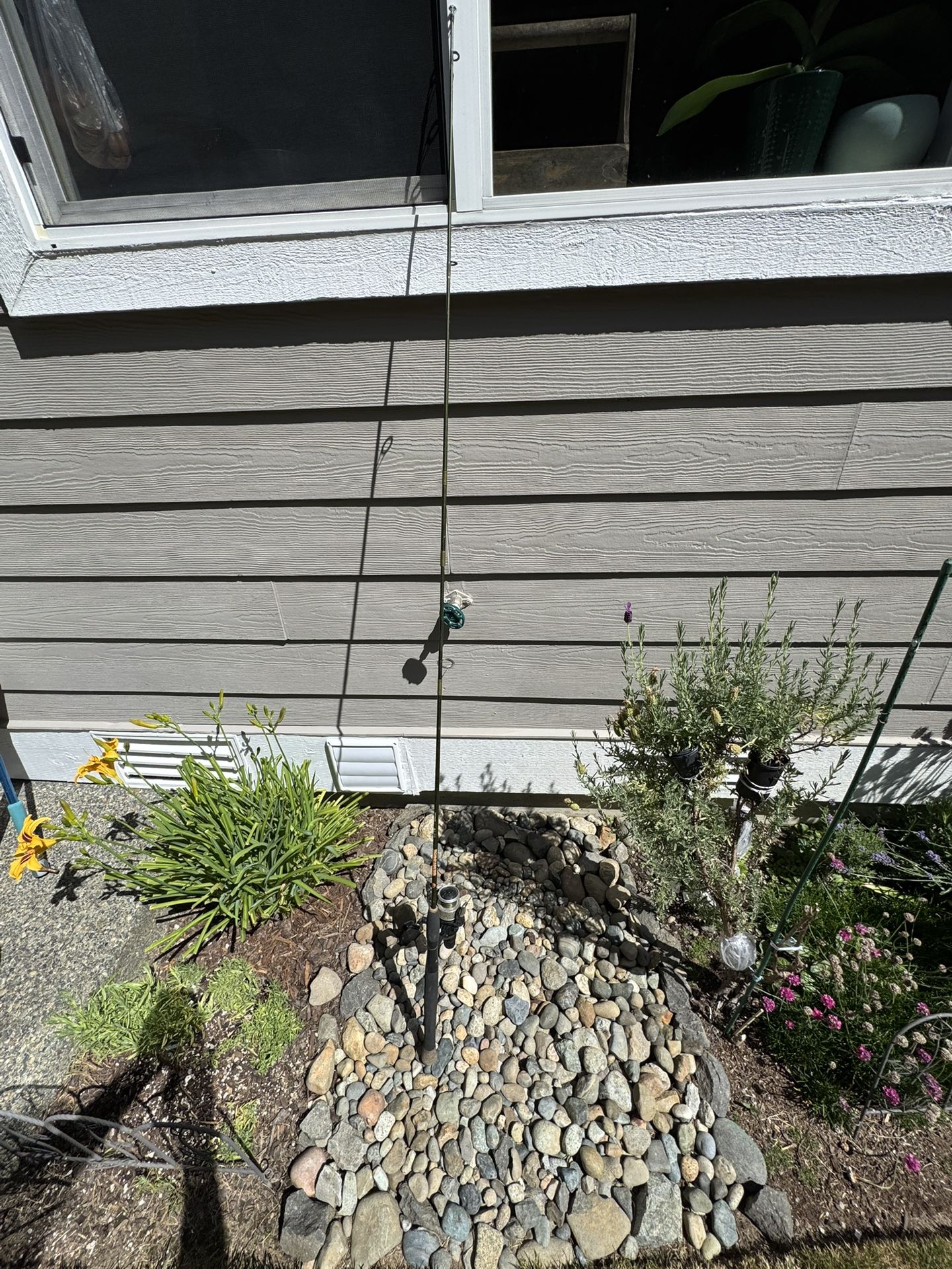 Gatorback FL.X Fishing Rod 6’