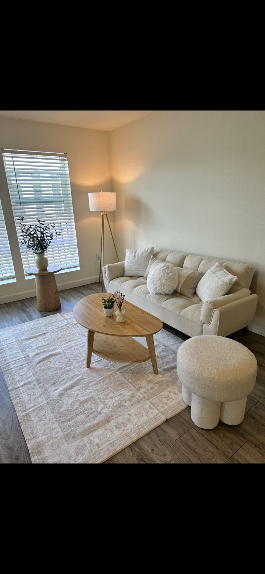 Fangflower Convertible Sofa Bed