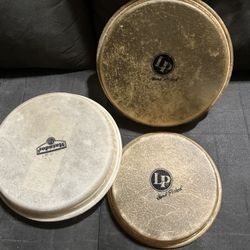 Bongo Heads For Sale