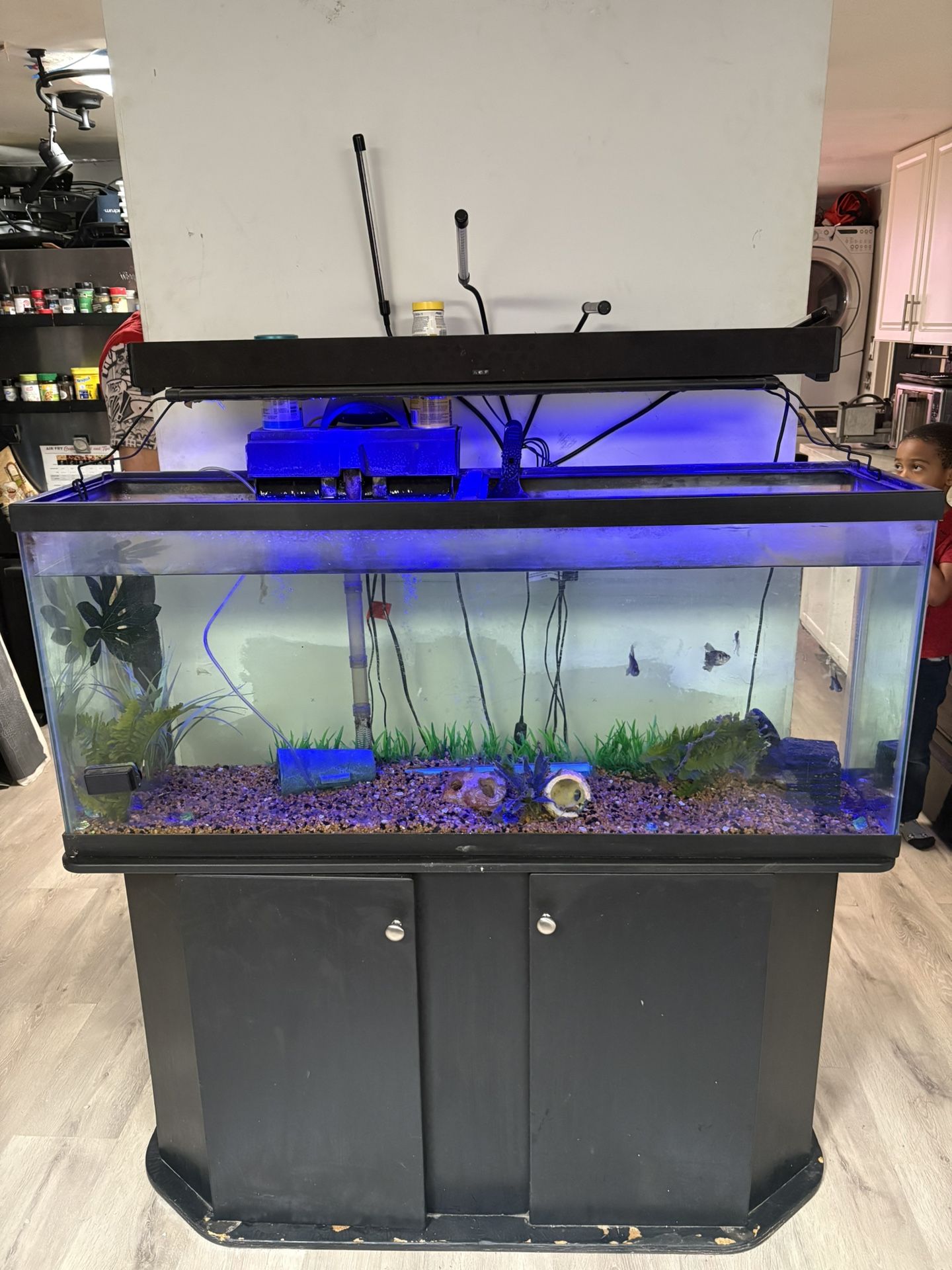 55 Gallon Fish Tank And Stand With Filters Etc