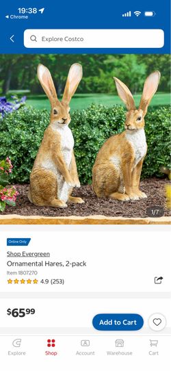 Costco Garden Hares Bunnies