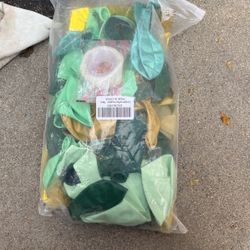 Balloons Arch Jungle 