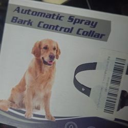 Dog Training Spay Collar 