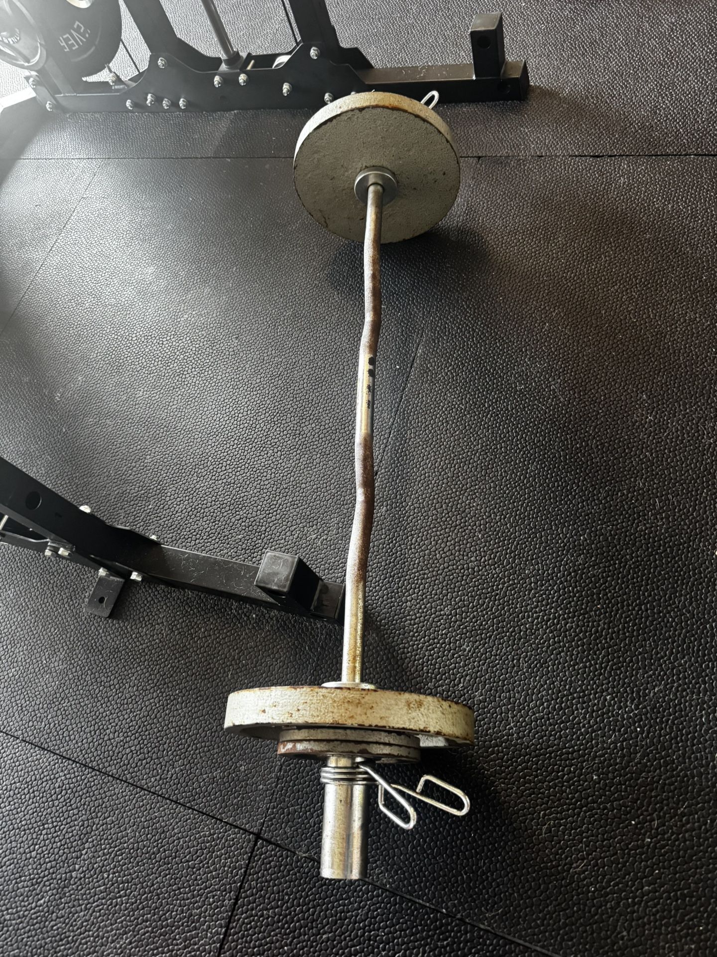 EZ Curl Bar With Weights
