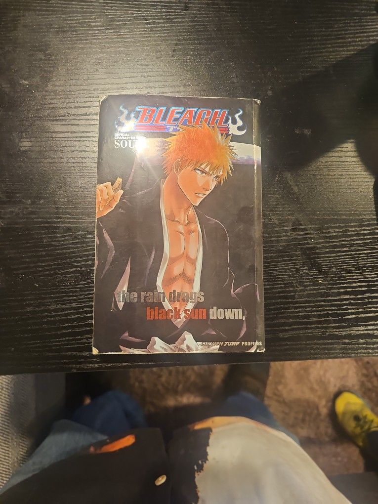 Bleach Book For Sale 20