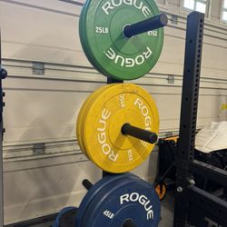 Rogue Color Bumper Plates (25/35/45LB Sets) – $740 Retail – Selling for $400