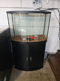 36 gallon fish tank and stand