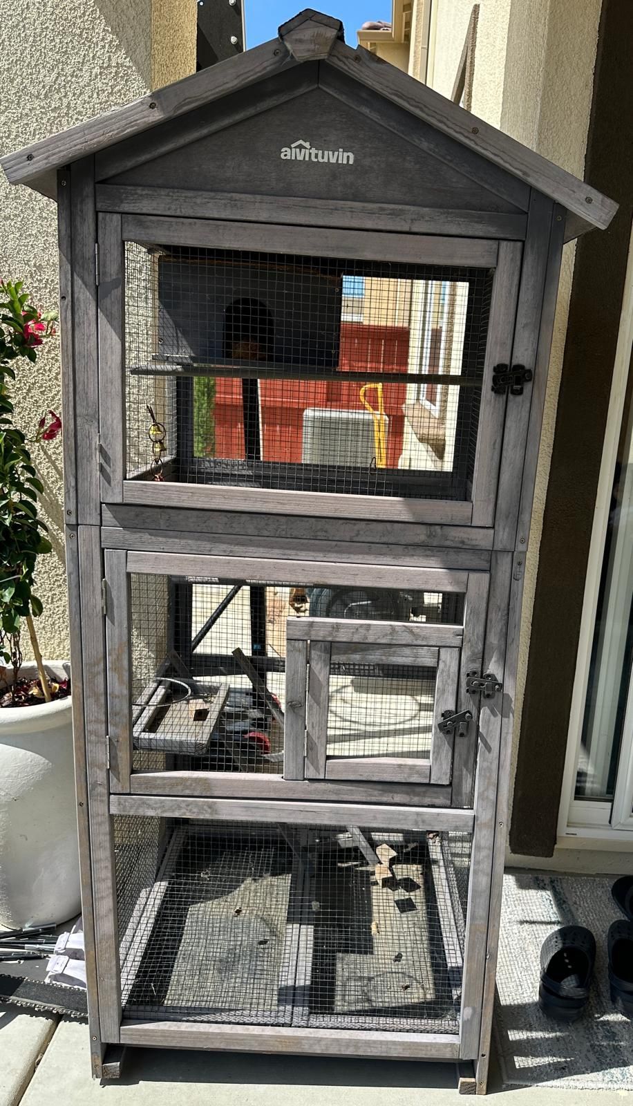 Bird Cage