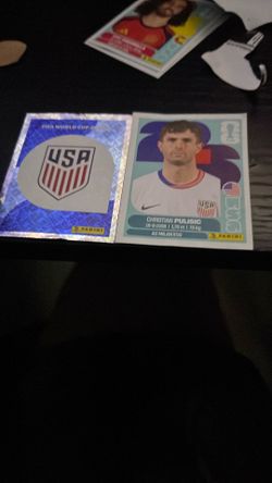 USA team badge and pulisic sticker card