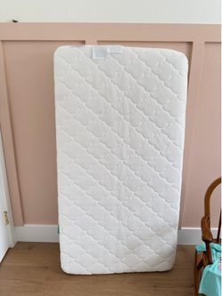 Newton Mattress