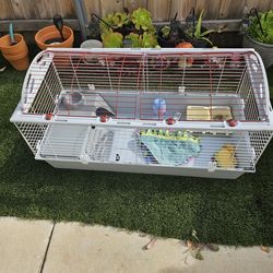 Guinea Pig And Bunny  cage /habitat