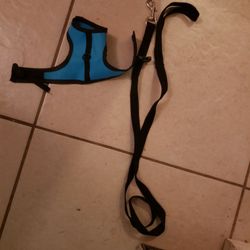 Ferrett Harness & Leash