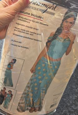 Princess Jasmine Halloween Costume
