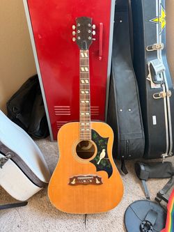 Hummingbird Guitar Body