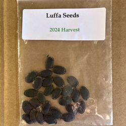 Luffa Seeds
