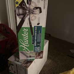 Hunter Ceiling Fan 