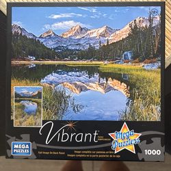 1000 piece puzzle