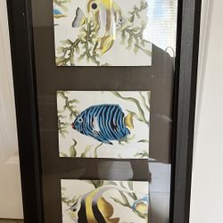 Picture Of Fish 