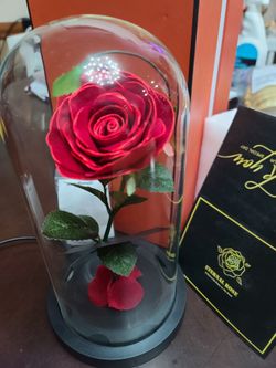 Eternal Rose in Glass Dome romantic gift