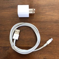 Apple Power Adaptor and Lightning to USB Cable