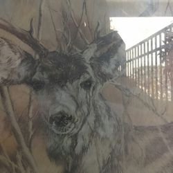 K maroon art print sign 1978