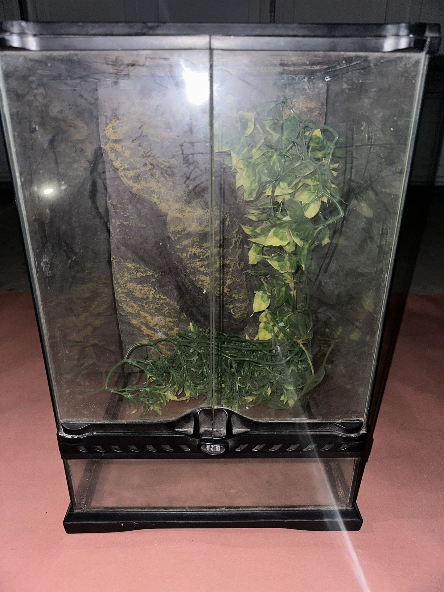 Frog Terrarium