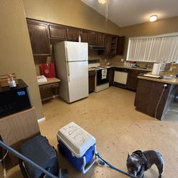 Moving Sale Saturday Only Everything Must Go