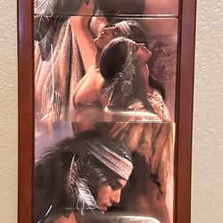 Wall Art Collector Plates