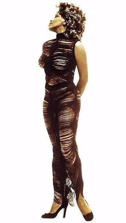 TINA TURNER PICTURE