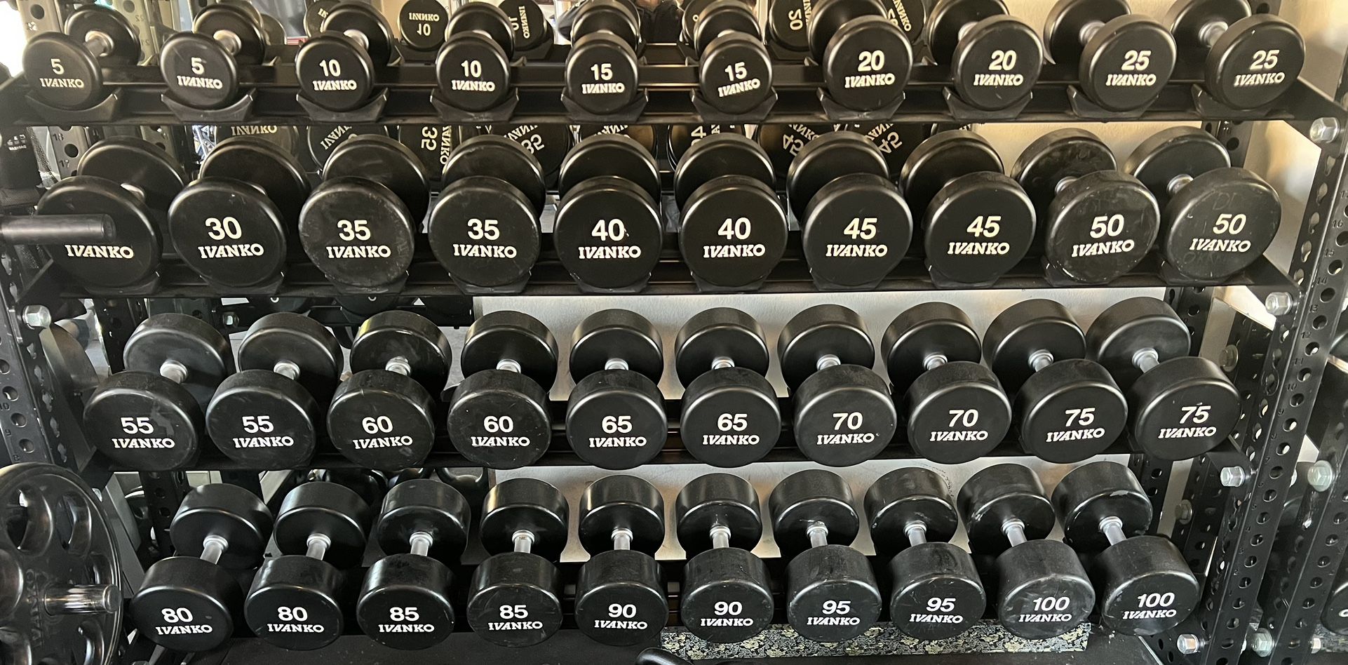 Ivanko Urethane Dumbbells 5-100
