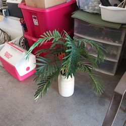 Small Palm Tree