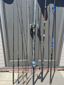 Daiwa, Ecooda, Ugly stick, Shimano Beef stick, Bass Pro Shops fishing rods