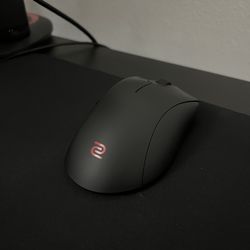 Zowie EC2-CW Gaming Mouse
